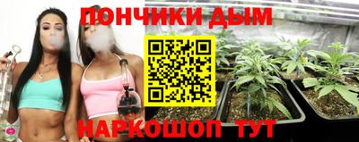 сатива Нальчик