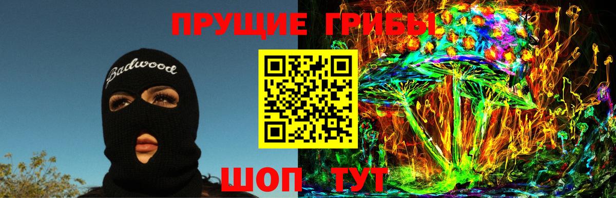 Галлюциногенные грибы Psilocybe  Вход с VPN  Нерюнгри 