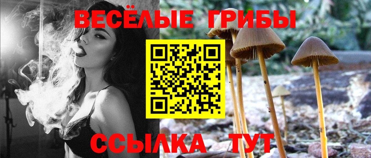 Псилоцибиновые грибы MAGIC MUSHROOMS Нерюнгри